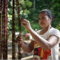 Batik Tenun.PNG